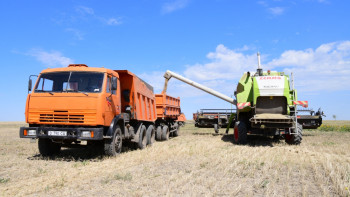 Фотография к новости: Ақтөбеде егін жинау жұмыстары қашан басталады?