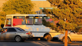 Фотография к новости: Жетісуға ONAY жүйесі қажет пе?