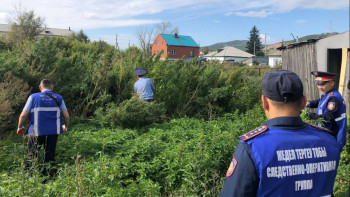 Фотография к новости: Ақмола облысының полицейлері қарасора плантациясын жойды