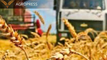 Фотография к новости: Елімізде 6,4 млн тонна астық бастырылды