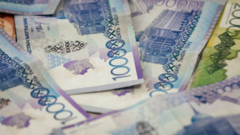 Фотография к новости: Агроөнеркәсіпке бөлінетін ақшаның 70 пайызы мемлекет қаржысы – Тоқаев