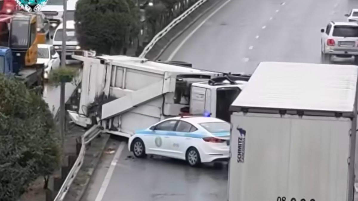  Видеодан скриншот