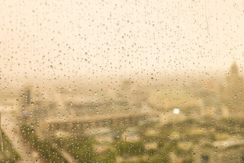 Фотография к новости: Солтүстік және шығыс аймақтарда үсік жүреді