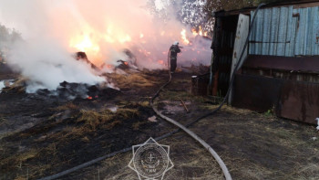 Фотография к новости: Қарағанды облысында 200 шаршы метр алаңда шөп өртенді