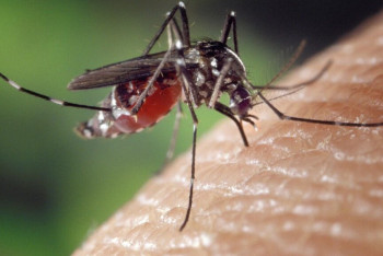 Фотография к новости: Испанияда тұрғындар қауіпті вирустың таралуы себепті наразылыққа шықты