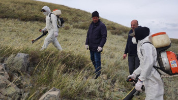 Фотография к новости: Павлодар облысында қарақұрттарды улау жұмыстары басталды