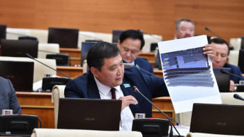 Фотография к новости: "Фостер халық зардап шеккенде, шай ішіп отырды". Депутат әуе компаниялардың былығын айтты