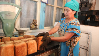 Фотография к новости: Жамбыл облысының ауылдарында 500 шағын кәсіпорын ашылады