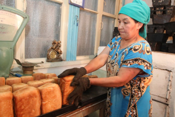 Фотография к новости: Жамбыл облысының ауылдарында 500 шағын кәсіпорын ашылады