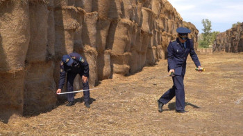 Фотография к новости: ШҚО-да 67 тоннадан астам шөп өртеніп кетті