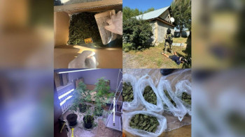 Фотография к новости: Алматы облысында полиция қызметкерлері есірткі зертханасын жойды