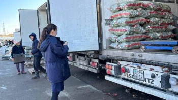 Фотография к новости: Импорт кезінде 997 бұзушылық анықталды