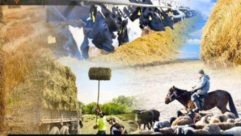 Фотография к новости: Қазақстанда 32,5 млн тонна жем дайындалды