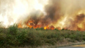 Фотография к новости: Румынияда орман өрті ауылға ойысты