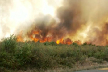 Фотография к новости: Румынияда орман өрті ауылға ойысты