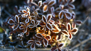 Фотография к новости: Қар аралас жаңбыр: 10 қыркүйекке арналған ауа райы болжамы