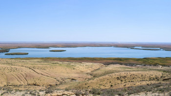 Фотография к новости: Арал теңізінің құрғаған табанында орман мелиорациялау жұмыстары жүргізілуде