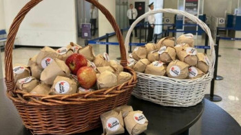 Фотография к новости: Алматы әуежайында жолаушыларға алма ұсынылады