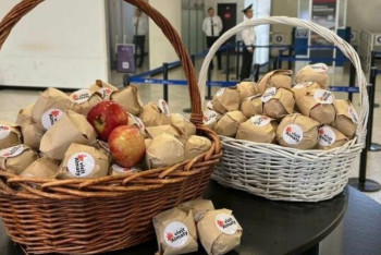 Фотография к новости: Алматы әуежайында жолаушыларға алма ұсынылады