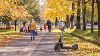 Фотография к новости: Жолдағы қауіпсіздік. 200-ге жуық бала жарақат алды