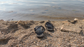 Фотография к новости: Шомылу маусымында Павлодар облысында 10 адам көз жұмды