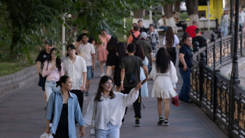 Фотография к новости: Жалпыға бірдей декларация. 180 мыңнан астам павлодарлық құжат тапсырады