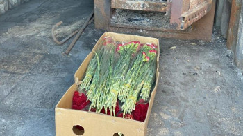 Фотография к новости: Қытайдан әкелінген гүлдер жойылды