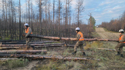 "Семей орманында" санитарлық кесу жұмыстары жүріп жатыр