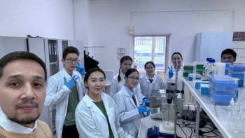 Фотография к новости: Жетісулық ғалымдар бидайды жылдам селекциялауды зерттеп жатыр