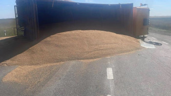 Фотография к новости: Қостанай облысында астық тиеген жүк көлігі аударылып, жолды жауып қалды