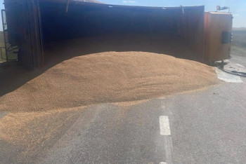 Фотография к новости: Қостанай облысында астық тиеген жүк көлігі аударылып, жолды жауып қалды