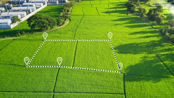 Фотография к новости: Солтүстік Қазақстанда 25 мың гектар жер мемлекет меншігіне қайтарылды