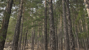 Фотография к новости: Экология және табиғи ресурстар министрі Абай облысына жұмыс сапарымен барды