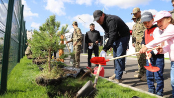Фотография к новости: ТЖМ қызметкерлері ағаш көшеттерін отырғызды