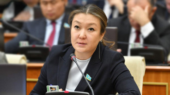 Фотография к новости: Мектепке жасөспірімдер ісі жөніндегі инспекторды қайтару керек – Динара Зәкиева