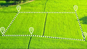 Фотография к новости: Алматыда 3000 га жер мемлекеттік меншікке қайтарылды