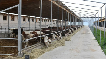 Фотография к новости: Түркістаннан Тәжікстанға алғаш рет 16 тонна ет экспортталды