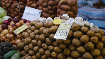 Фотография к новости: Астанада ауыл шаруашылығы жәрмеңкелері басталады