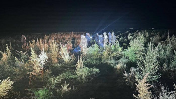 Фотография к новости: Жамбыл облысында түнгі рейд кезінде полицейлер 190 кг қарасора тәркіледі