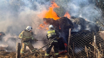 Фотография к новости: Бірнеше облыста шөп өртенді