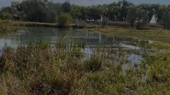 Фотография к новости: Жетісуда жоғалып кеткен 3 жасар баланың денесі табылды