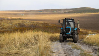 Фотография к новости: Шығыс Қазақстан облысында aстық алқаптарының 84,6%-ы жиналды