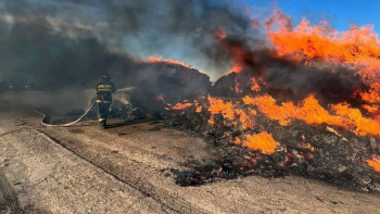 Фотография к новости: Өткен тәулікте 4 облыста шөп өртенді