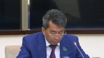 Фотография к новости: "Нәтиже жоқ". Сенатор ауылды дамытуға арналған жобаны сынға алды