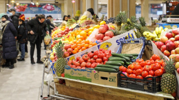 Фотография к новости: Астанадағы жәрмеңкеге үш облыс 400 тоннадан астам өнім әкеледі