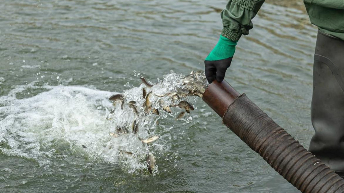  Ауыл шаруашылығы министрлігі