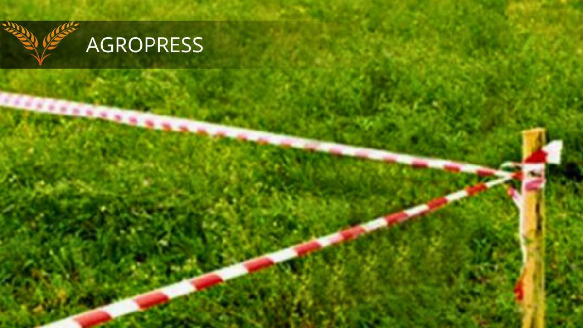  АШМ ресми сайты