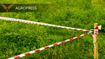 Фотография к новости: Елордада 346 млн теңгенің жер аумағы мемлекетке қайтарылды