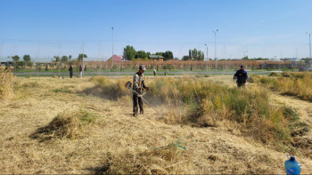 Фотография к новости: Дүниежүзілік тазалық күні: Шымкенттіктер белсенді атсалысты