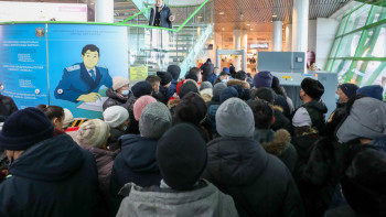 Фотография к новости: Солтүстікке баратын қандастар саны артты